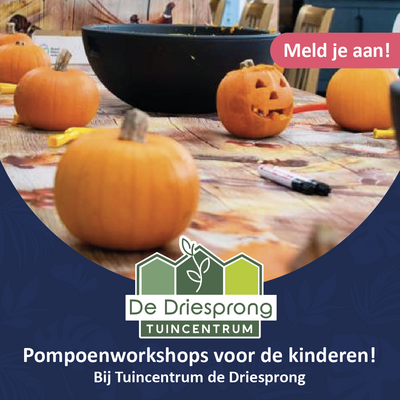 GRATIS pompoen workshops voor de kinderen! [Helaas! Alle tijdvakken zitten vol!]