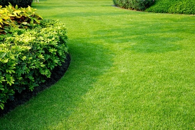 Tips voor een lenteproof gazon