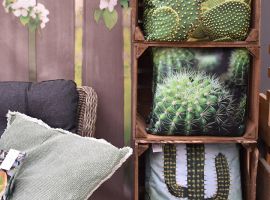 Kussens en parasols